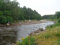 Horse Riding down the River Druie